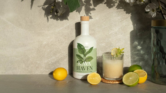 22-Day Observational Study on Kava Haven: Effects on Stress, Sleep, and Daily Habits