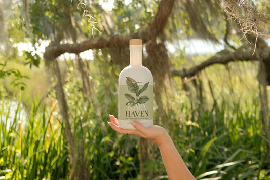 Kava: The Most Misunderstood Ingredient in Modern Wellness