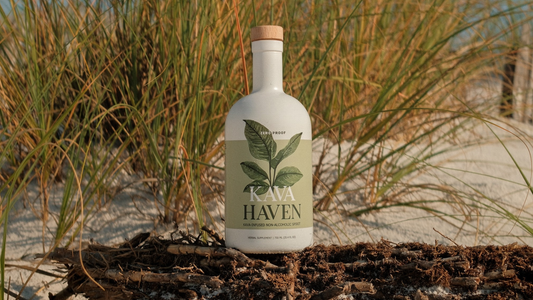 Is Kava Haven a Good Alcohol Substitute for Dry January?